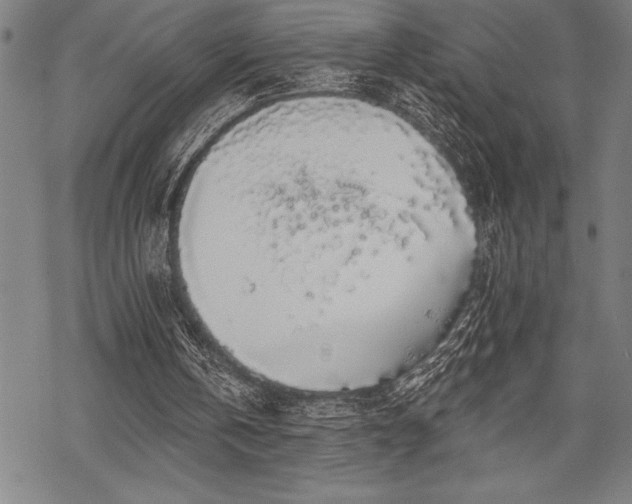 X0000069380146200605150926