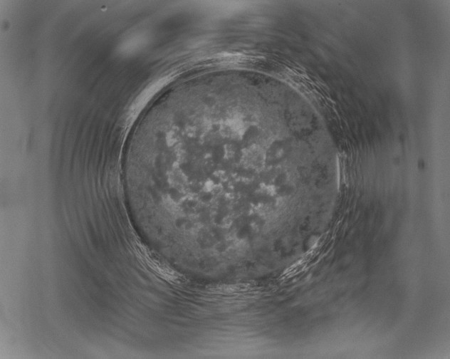 X0000069380147200605150926