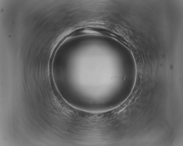 X0000069380148200605150926