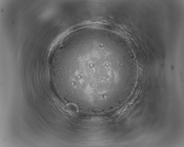 X0000069380149200605150926