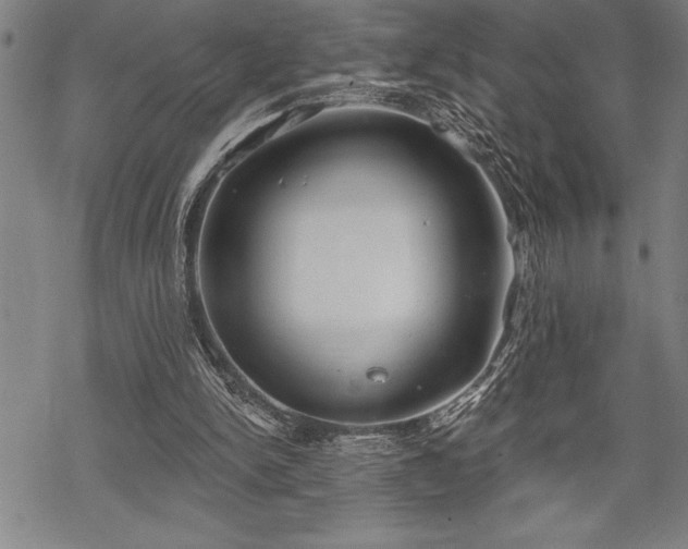 X0000069380150200605150926