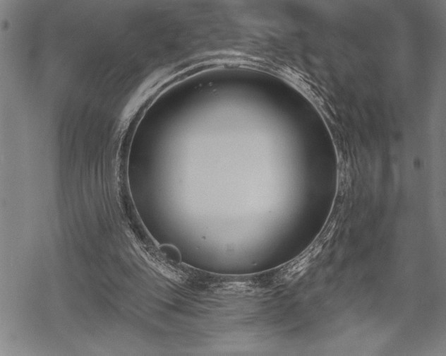 X0000069380151200605150926