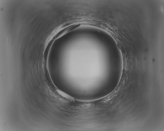 X0000069380152200605150926