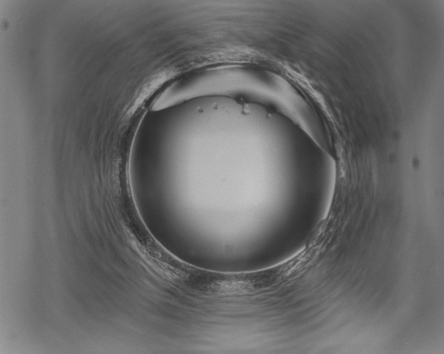 X0000069380154200605150926