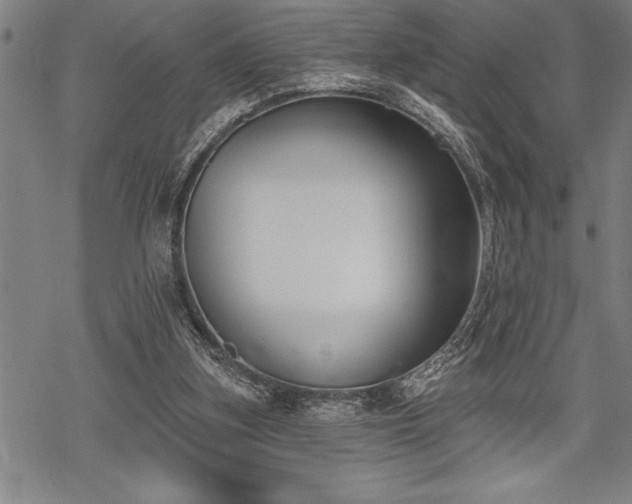 X0000069380155200605150926