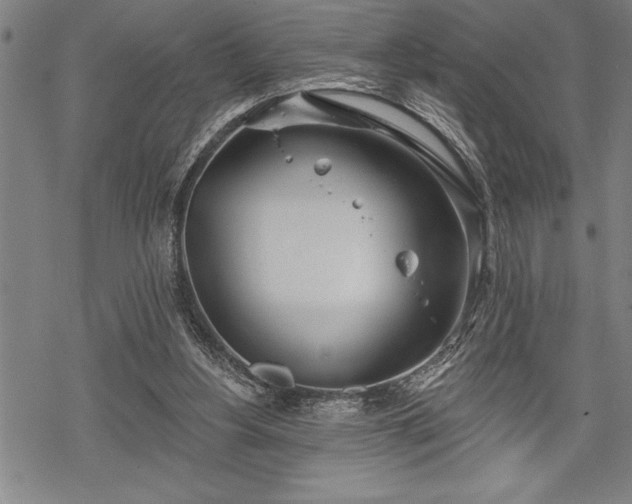 X0000069380156200605150926