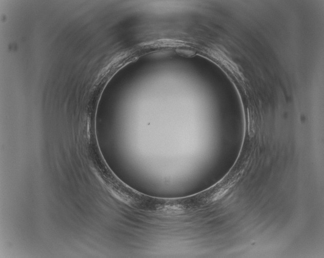 X0000069380157200605150926