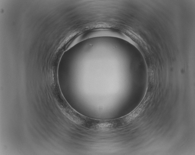 X0000069380158200605150926