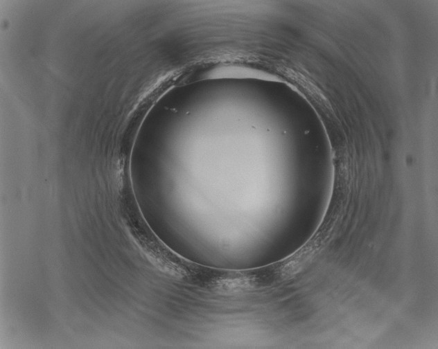 X0000069380160200605150926