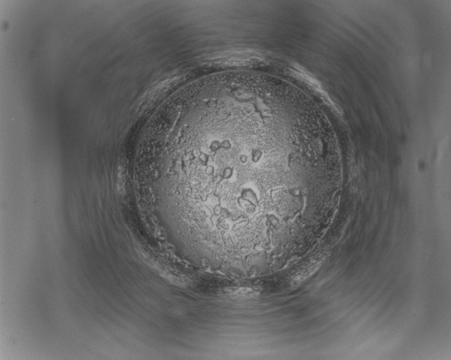 X0000069380161200605150926