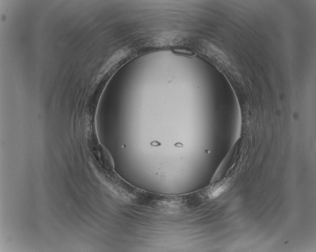 X0000069380164200605150926