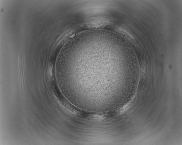 X0000069380166200605150926