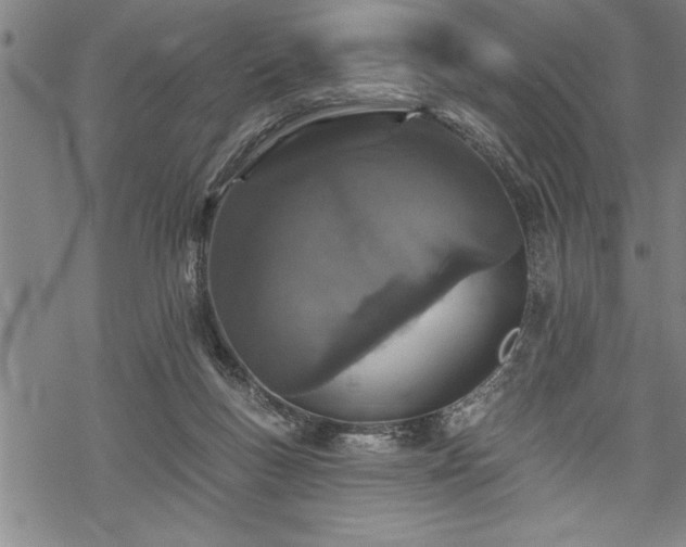 X0000069380167200605150926