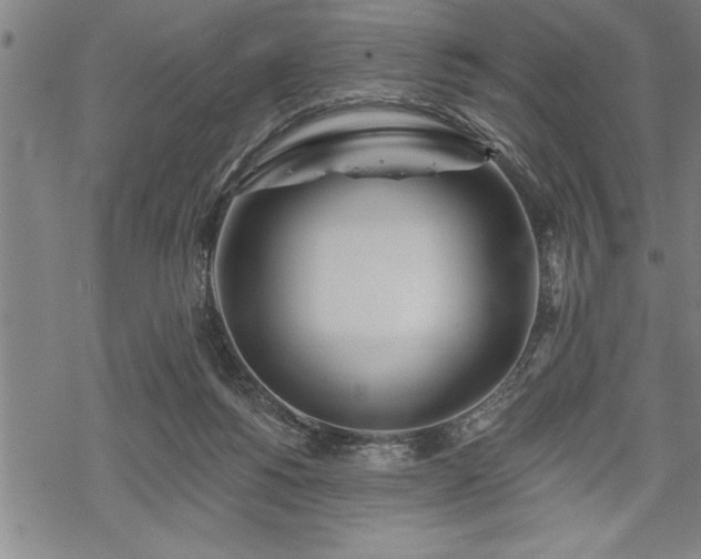 X0000069380168200605150926