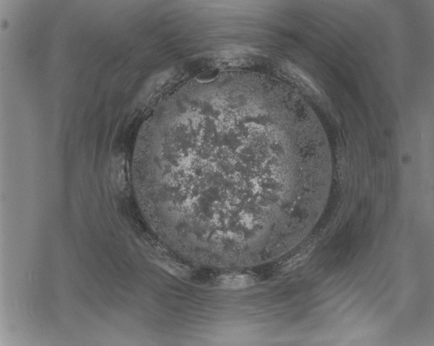 X0000069380169200605150926