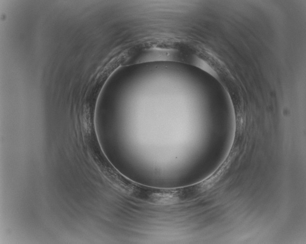 X0000069380170200605150926