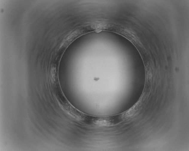 X0000069380171200605150926