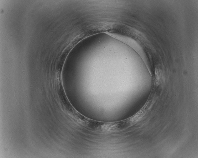 X0000069380172200605150926