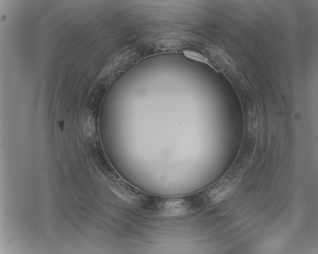 X0000069380173200605150927