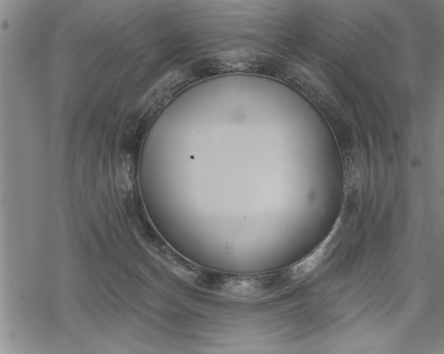 X0000069380174200605150927