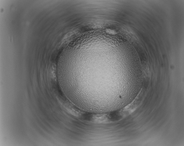 X0000069380175200605150927