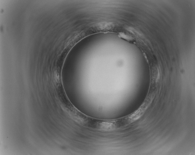 X0000069380176200605150927