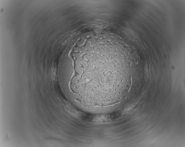 X0000069380177200605150927