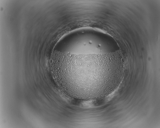 X0000069380178200605150927