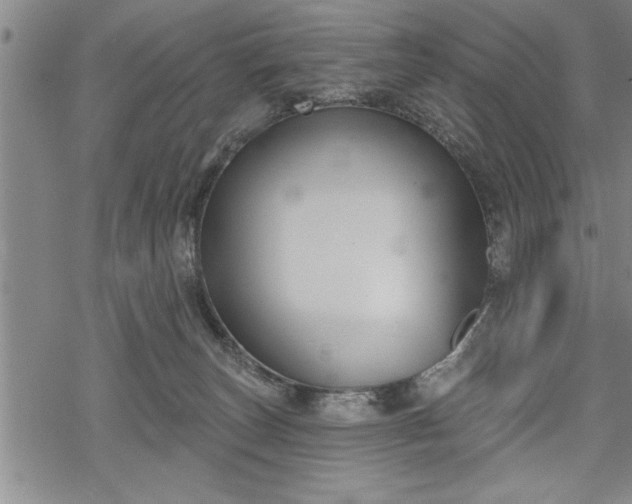 X0000069380179200605150927