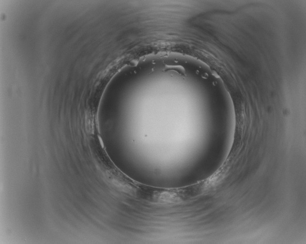 X0000069380180200605150927