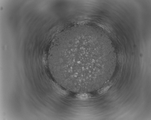 X0000069380181200605150927