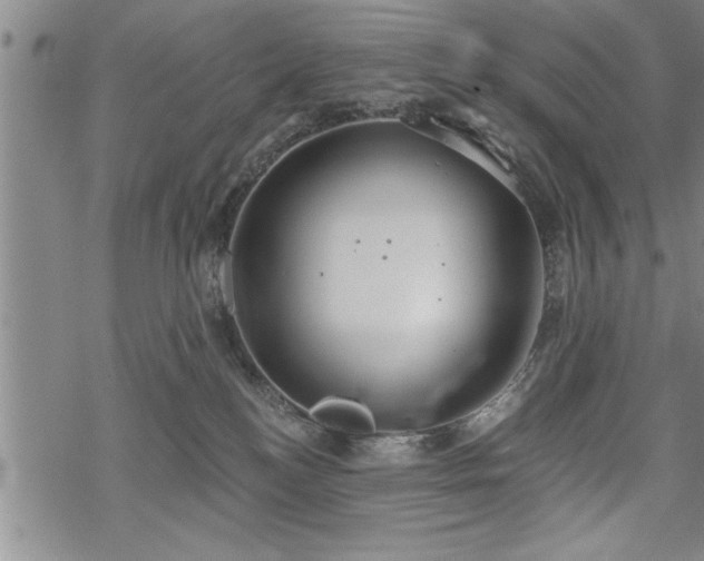 X0000069380184200605150927