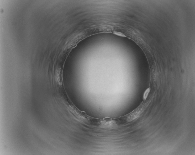 X0000069380185200605150927