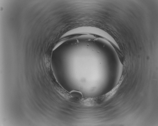 X0000069380186200605150927