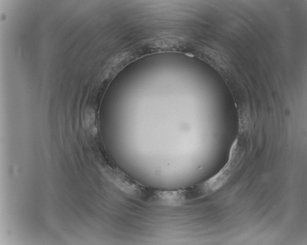 X0000069380187200605150927