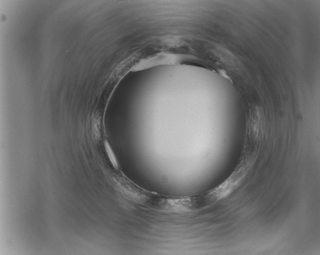 X0000069380188200605150927