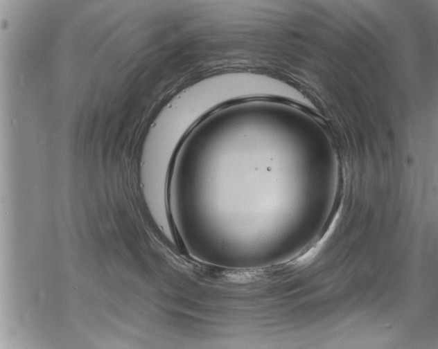 X0000069380190200605150927