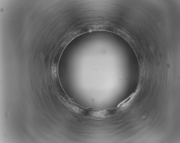 X0000069380191200605150927