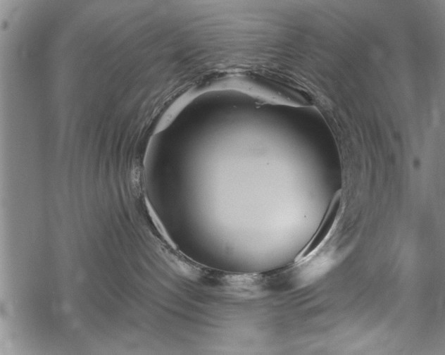 X0000069380192200605150927