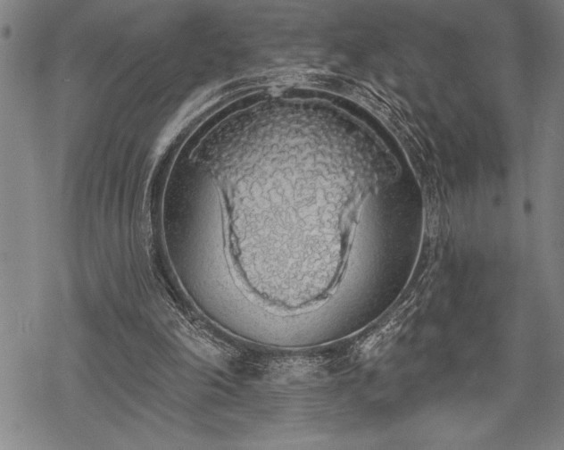 X0000069380198200605150926