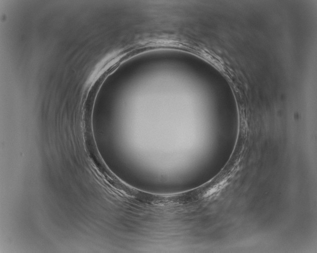 X0000069380199200605150926