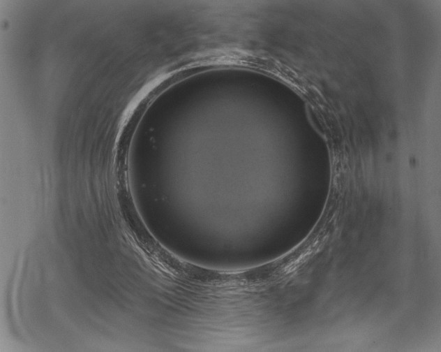 X0000069380200200605150926