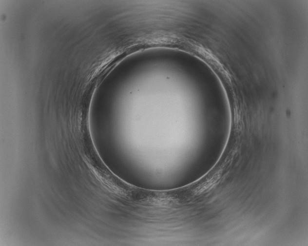 X0000069380201200605150926