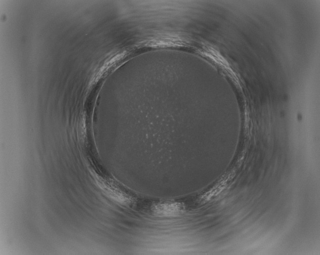 X0000069380202200605150926