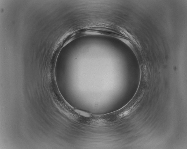 X0000069380203200605150926