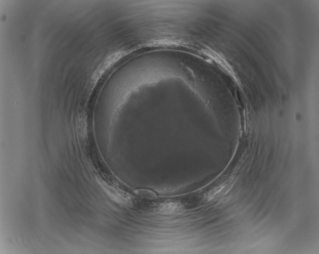 X0000069380204200605150926