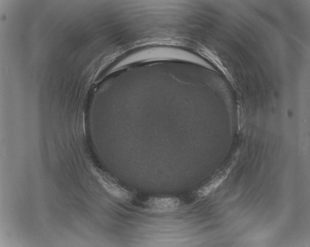 X0000069380205200605150926