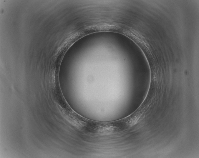 X0000069380206200605150926