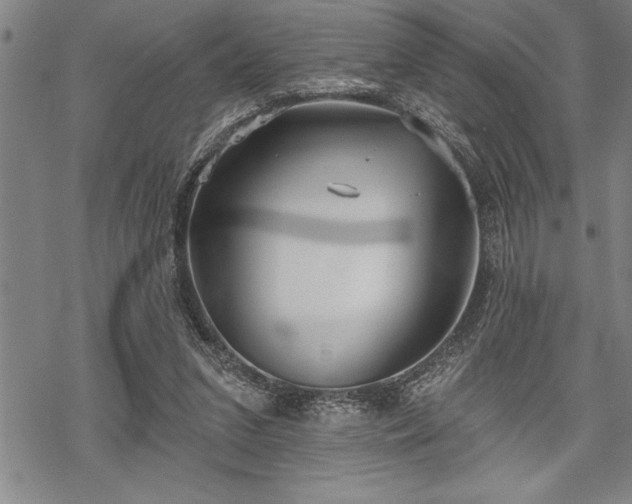 X0000069380207200605150926