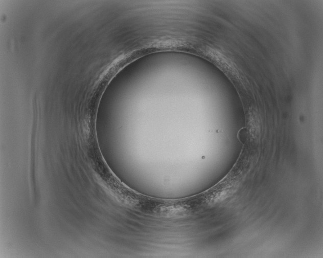 X0000069380208200605150926